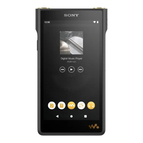 Замена сенсора Sony NW-WM1AM2 Black