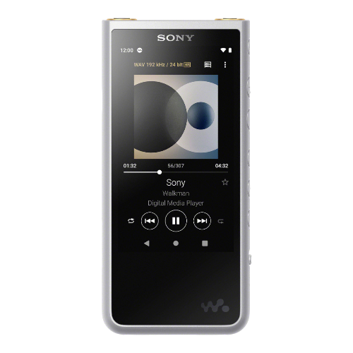 Замена сенсора Sony NW-ZX507 Silver